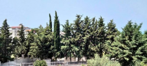 Vila Tahiri